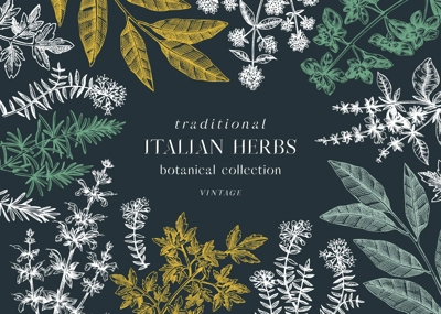 Vector banner design with  typical herbs and spices for Italian cuisine. Hand-sketched kitchen herbs plants background. Aromatic food cooking herbal ingredients frame. On chalkboard